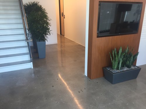 Concrete Polishing by Infinity Concrete Coatings