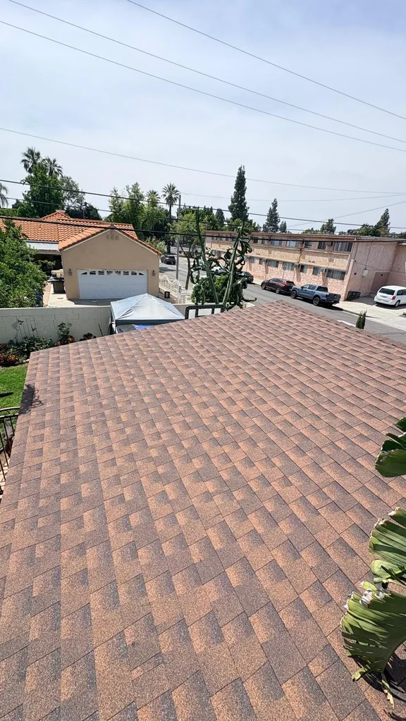 Shingle Roof Replacement