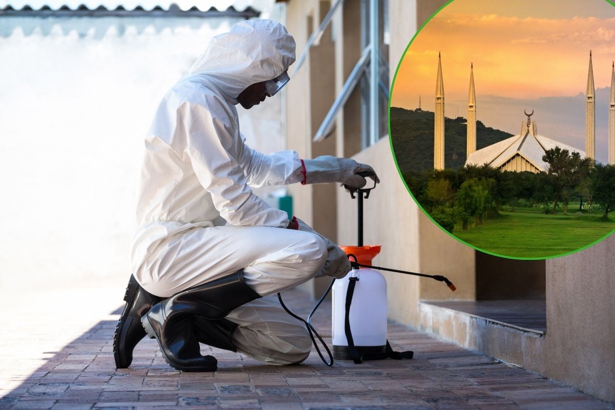 Pest Control Services in Karachi | Best Services