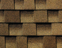 Shakewood