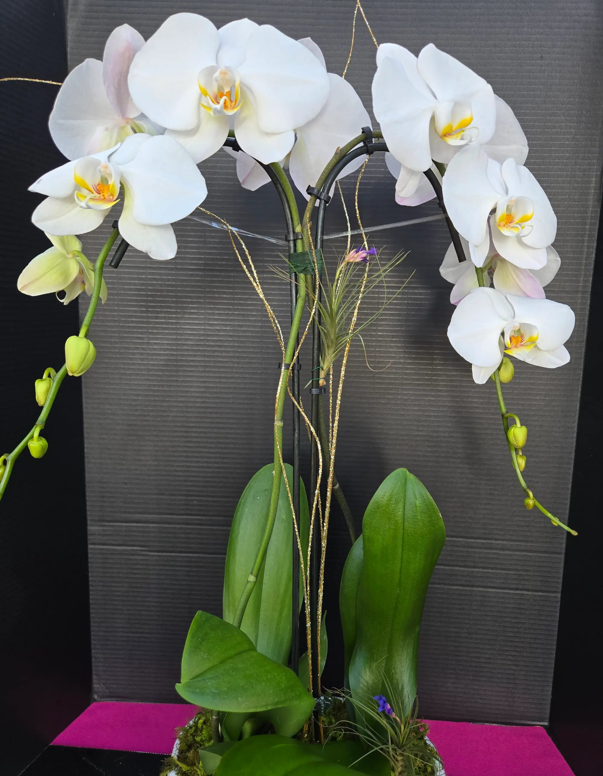 Orchid arrangement