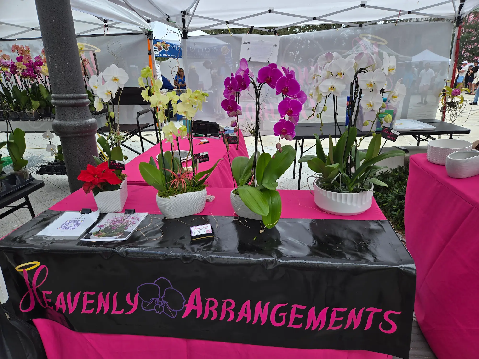 Orchid arrangement