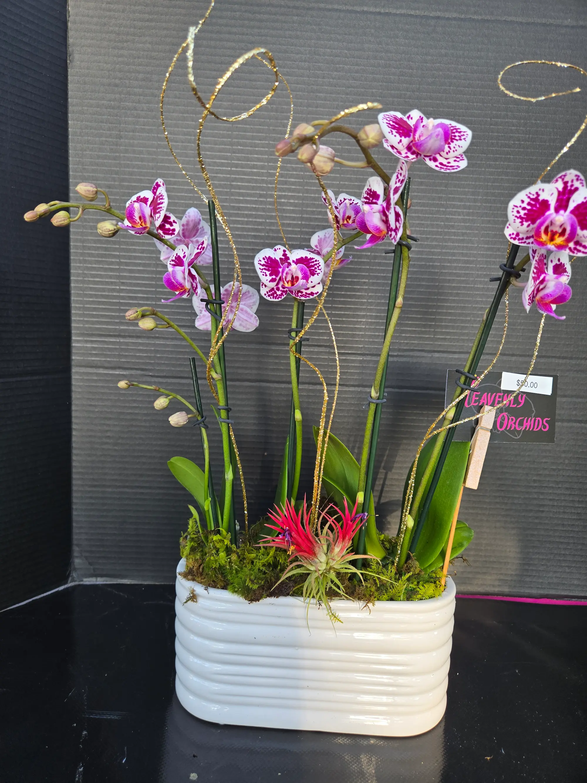Orchid arrangement