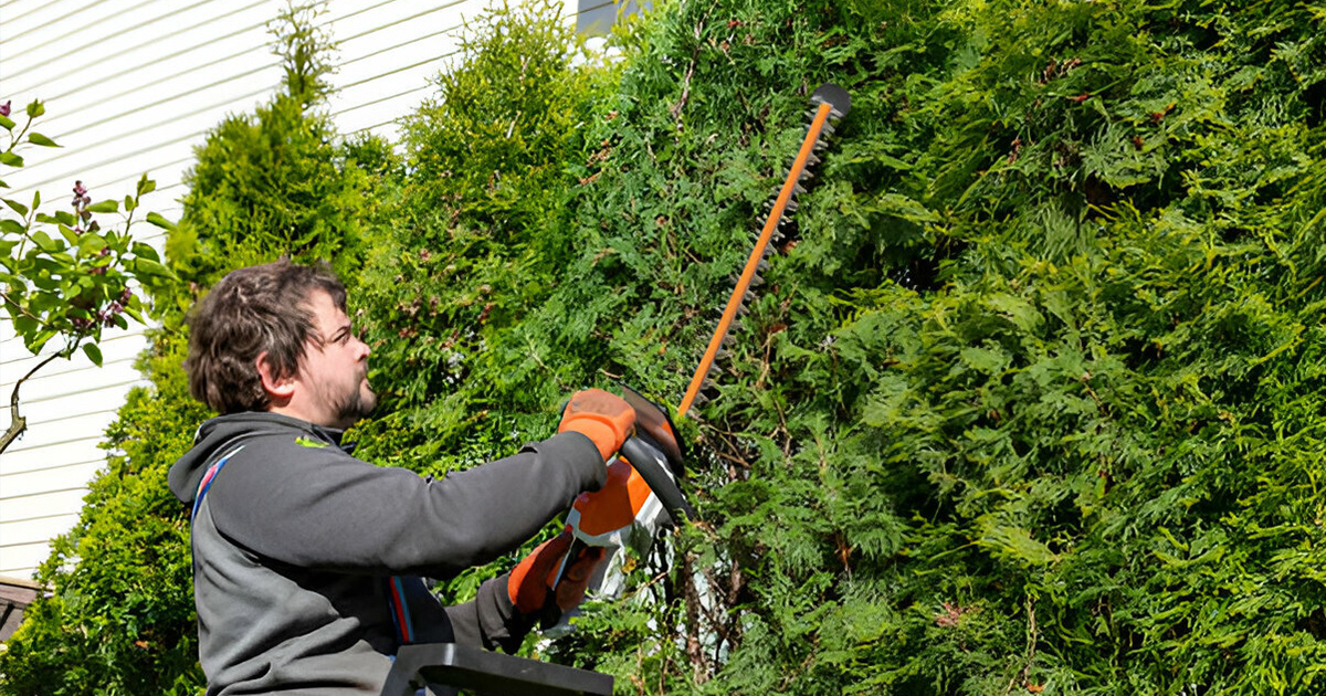 choose valdosta tree removal process