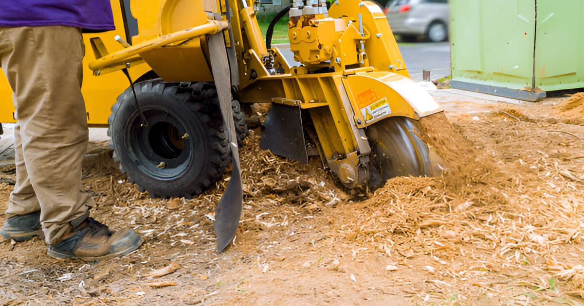 valdosta stump grinding benefits