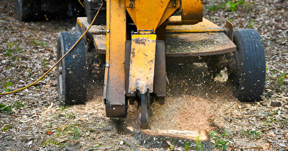 understanding stump grinding benefits