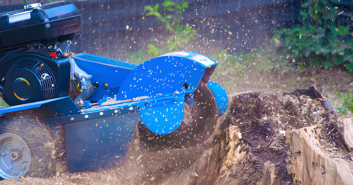 stump grinding valdosta ga near me