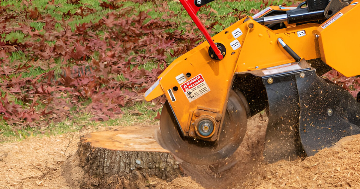 stump grinding near me