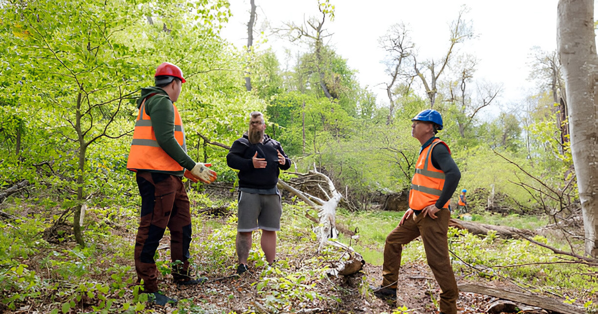 Tree Removal Services