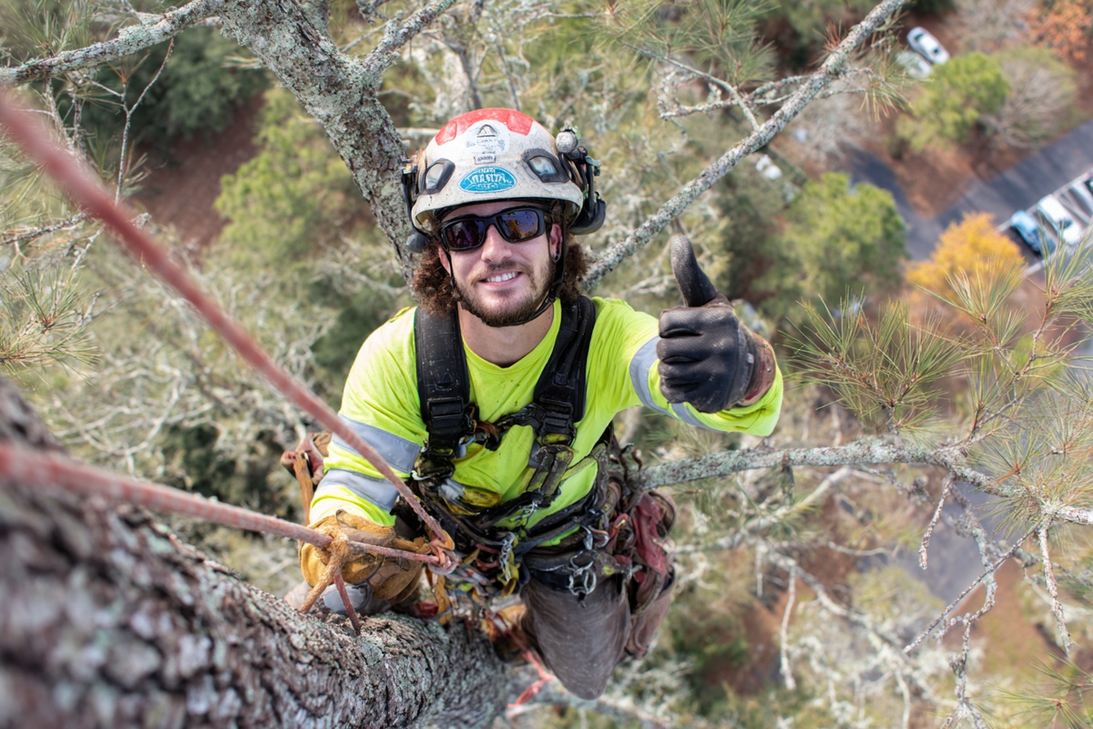 tree trimming valdosta professionals