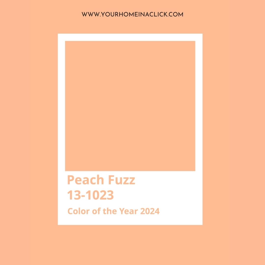 Peach Fuzz:  2024's Pantone Color 