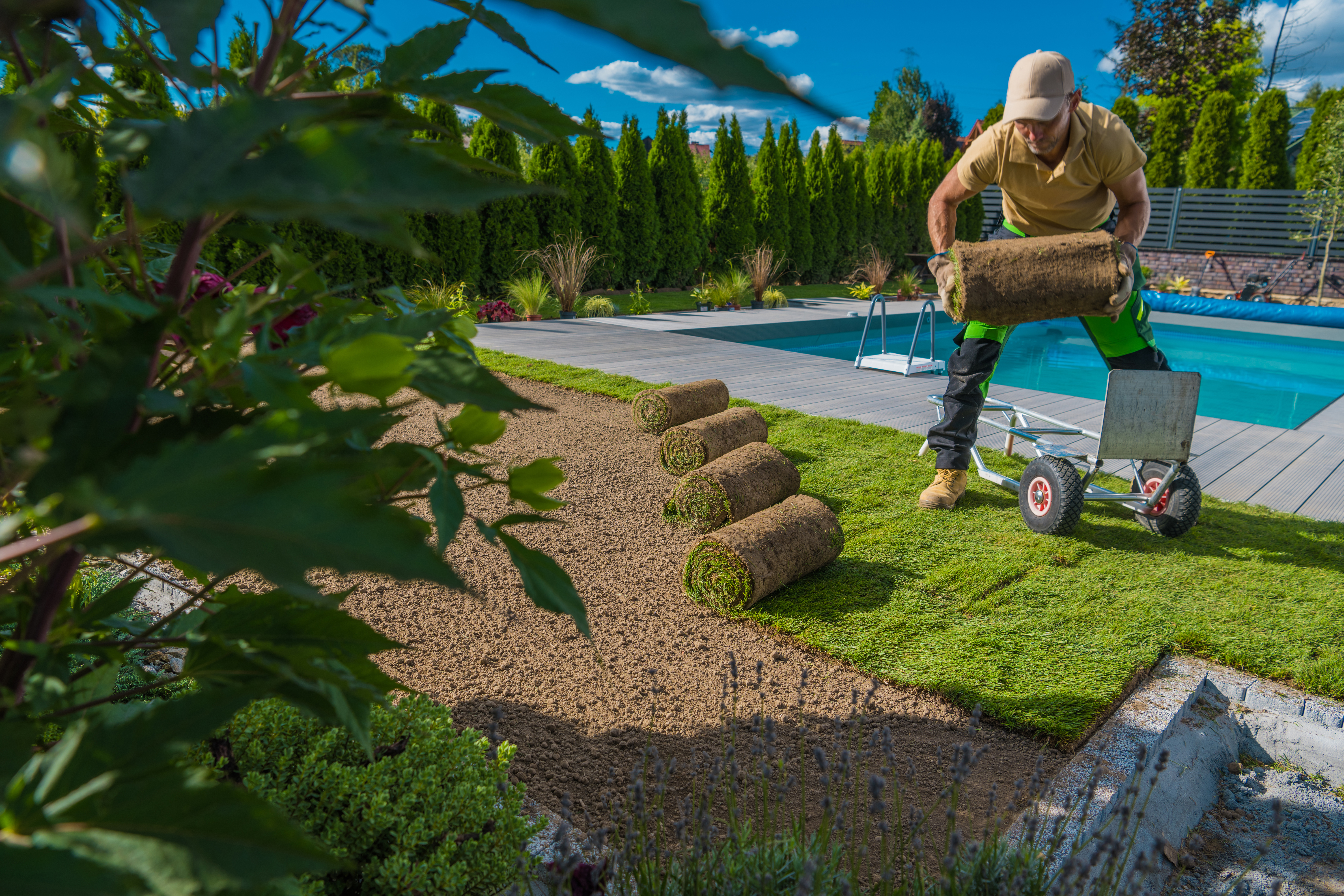 Lawn care