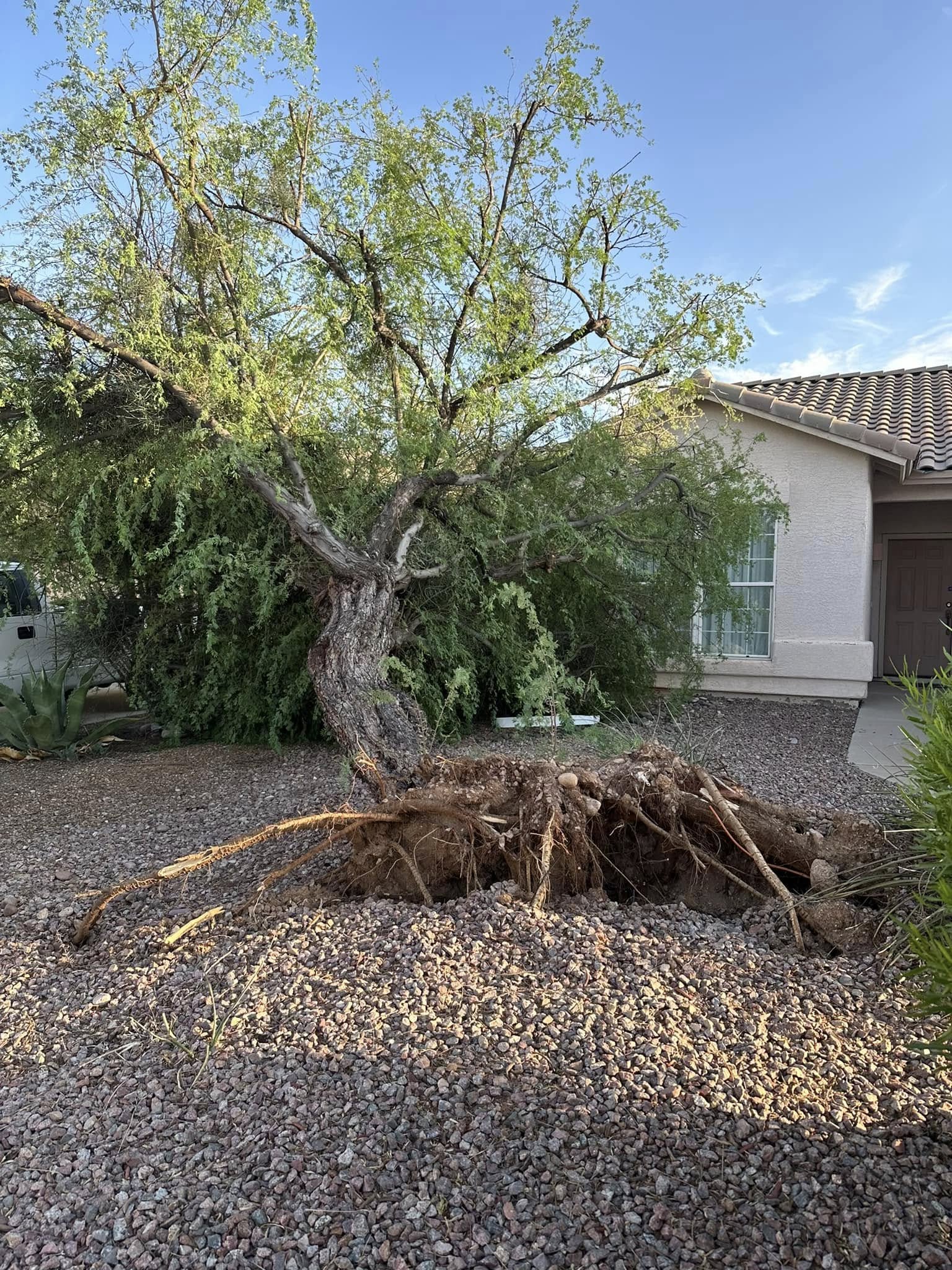Brush & Debris Clean Out
