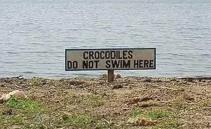 Sign that says "Crocodiles do not swim here" Sign that says "Crocodiles do not swim here"