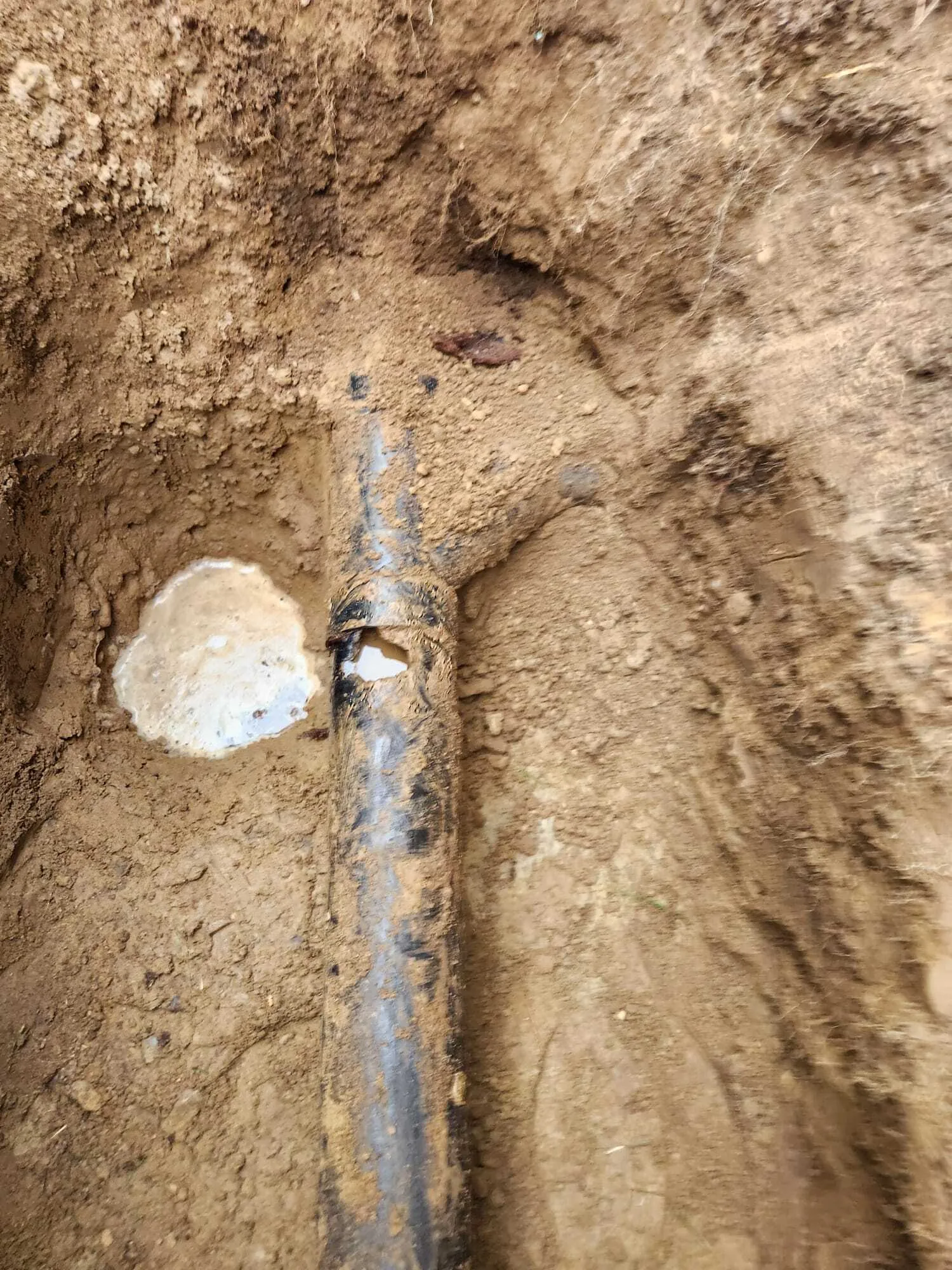 Lions Rooter Drain Cleaning | Gallery 7