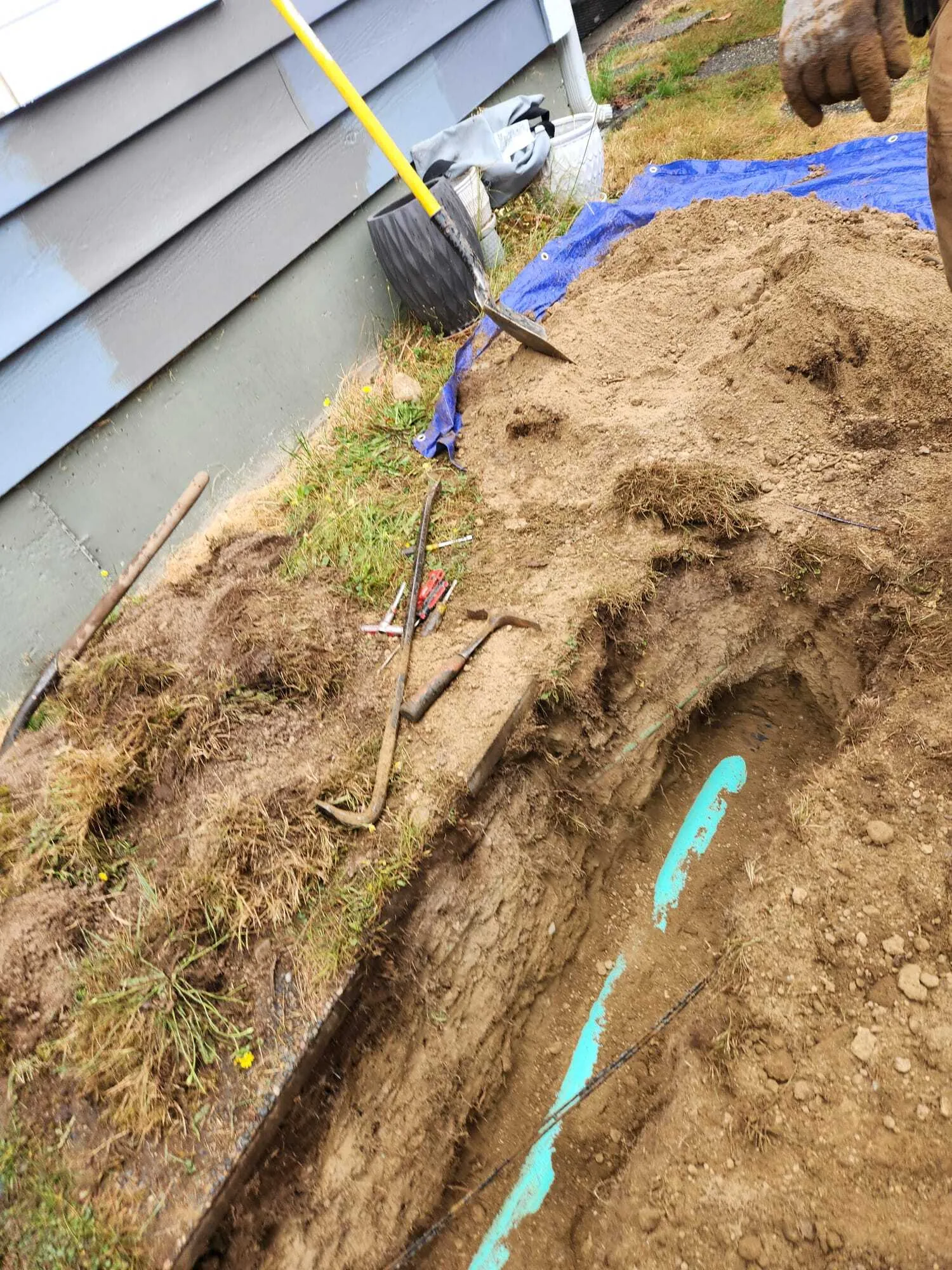  Lions Rooter Drain Cleaning - Gallery 7
