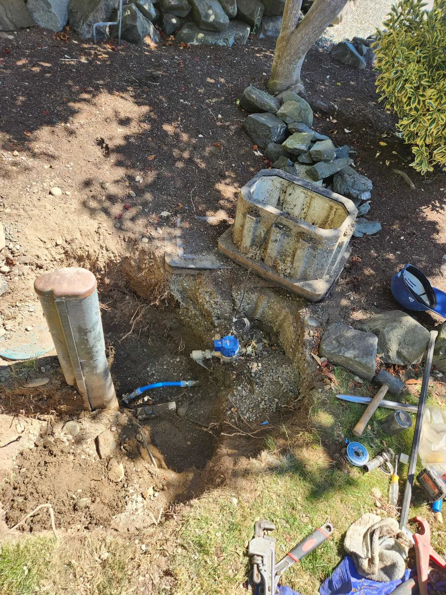 Lions Rooter Drain Cleaning | Gallery 2