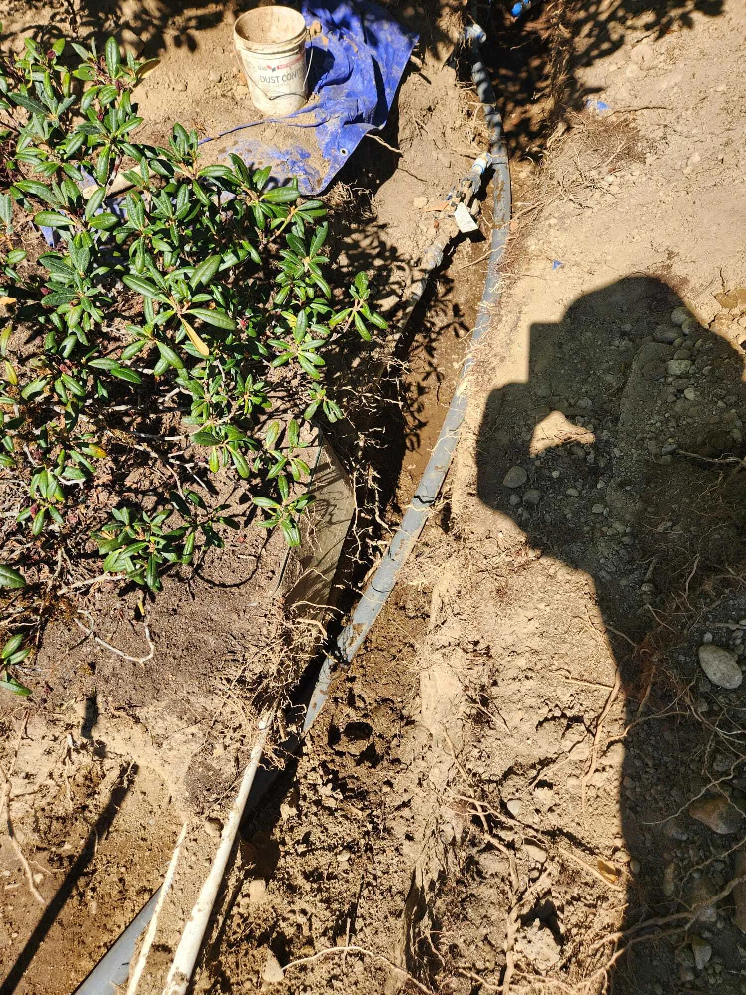  Lions Rooter Drain Cleaning - Gallery 11