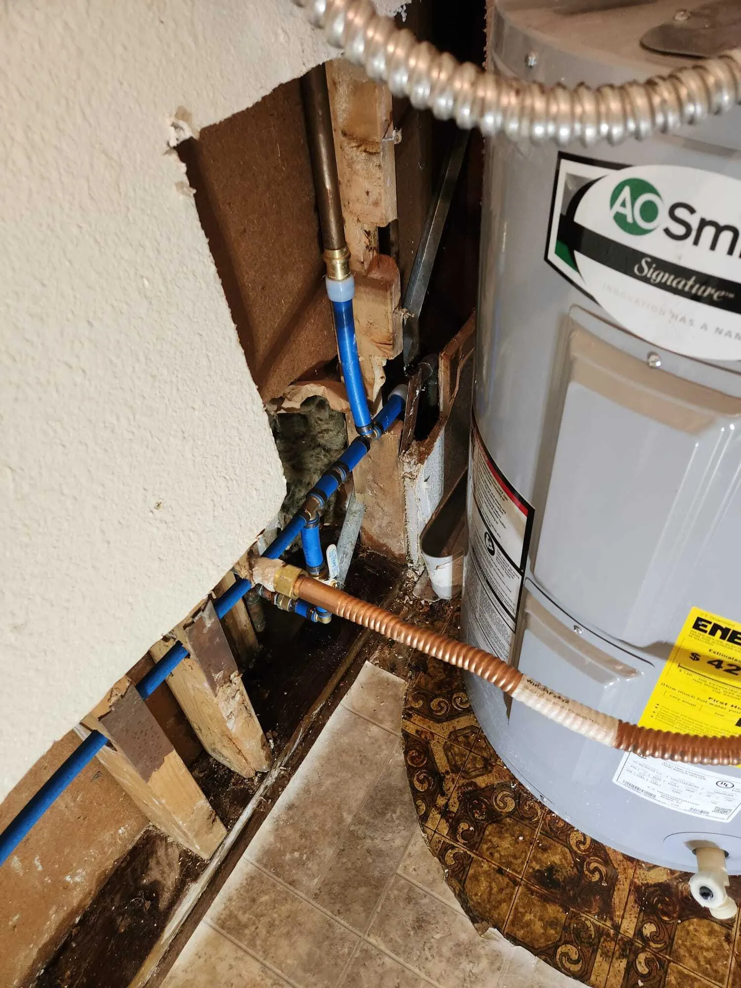Lions Rooter Drain Cleaning | Gallery 3