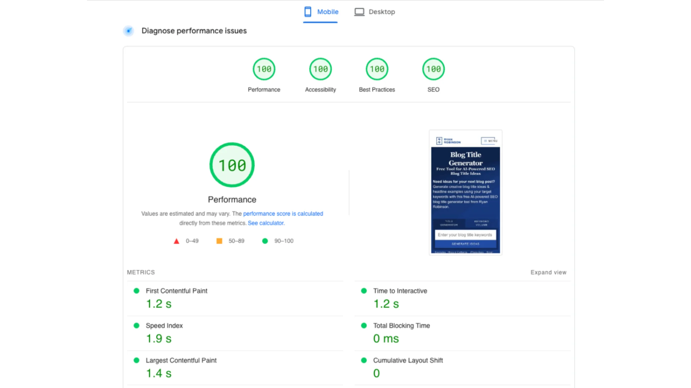 Screenshot of Google Page Speed Insight Test Results
