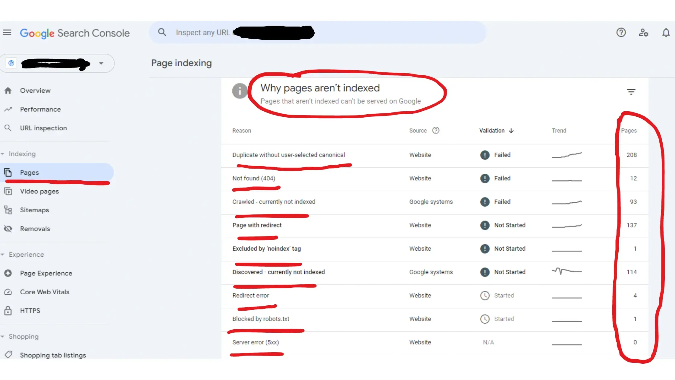 Screenshot of Google Search Console showing why pages are not indexed