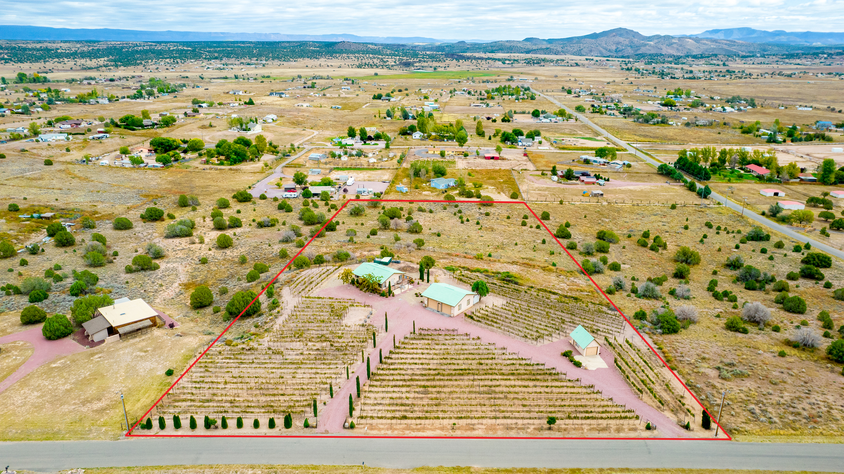 Arizona Vineyards for Sale
