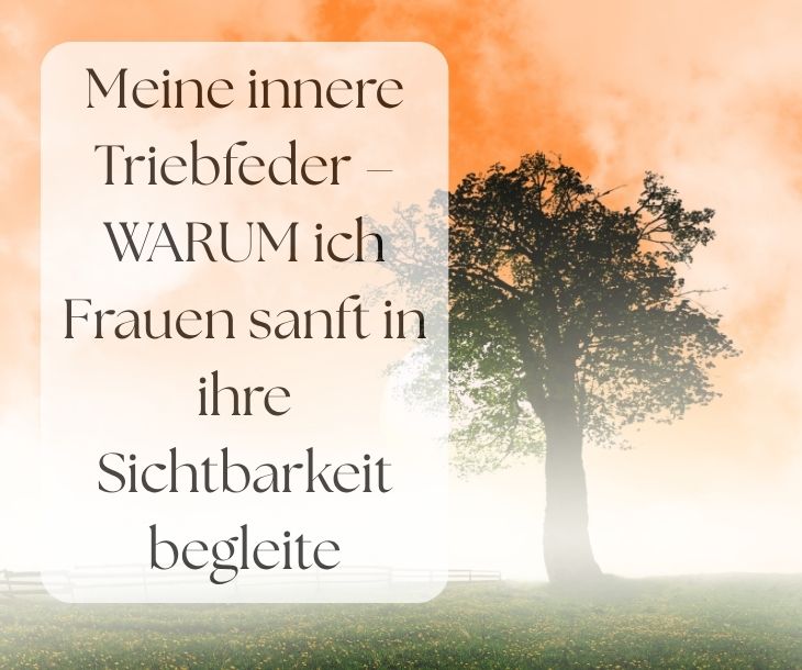 Meine innere Triebfeder – WARUM ich Frauen sanft in ihre Sichtbarkeit begleite