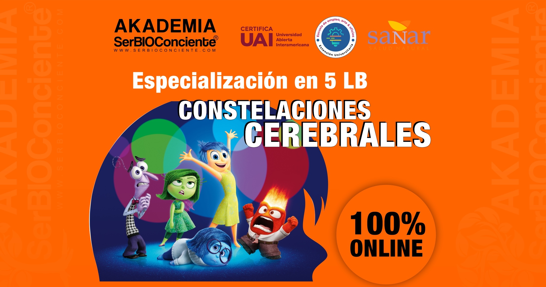 Especialización en 5LB - Constelaciones Cerebrales PRECIO EN DÓLARES - PAGO ÚNICO Y DEFINITIVO