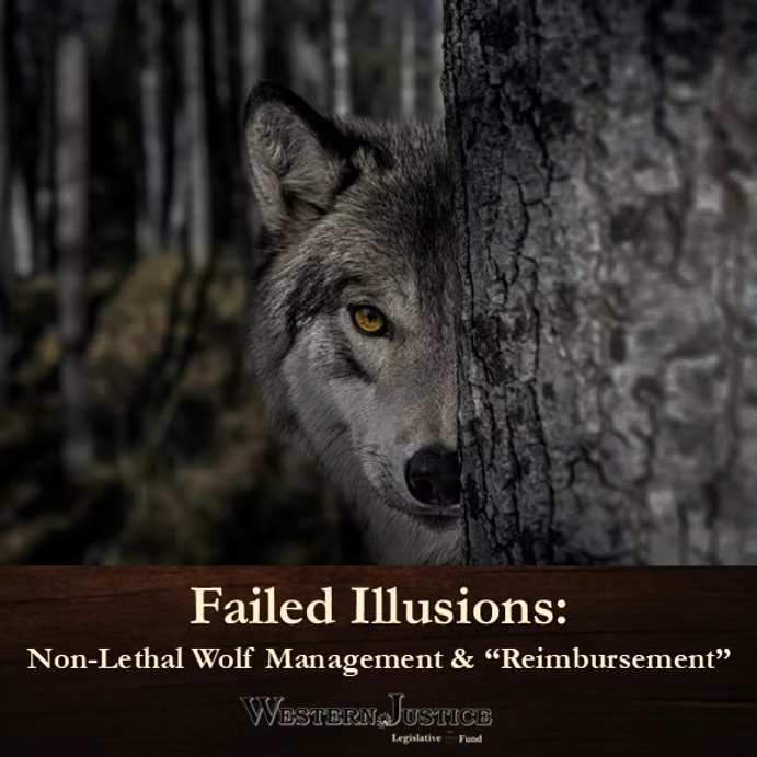 Failed Illusions: Non-Lethal Wolf Management & “Reimbursement” Failed Illusions: Non-Lethal Wolf Management & “Reimbursement”