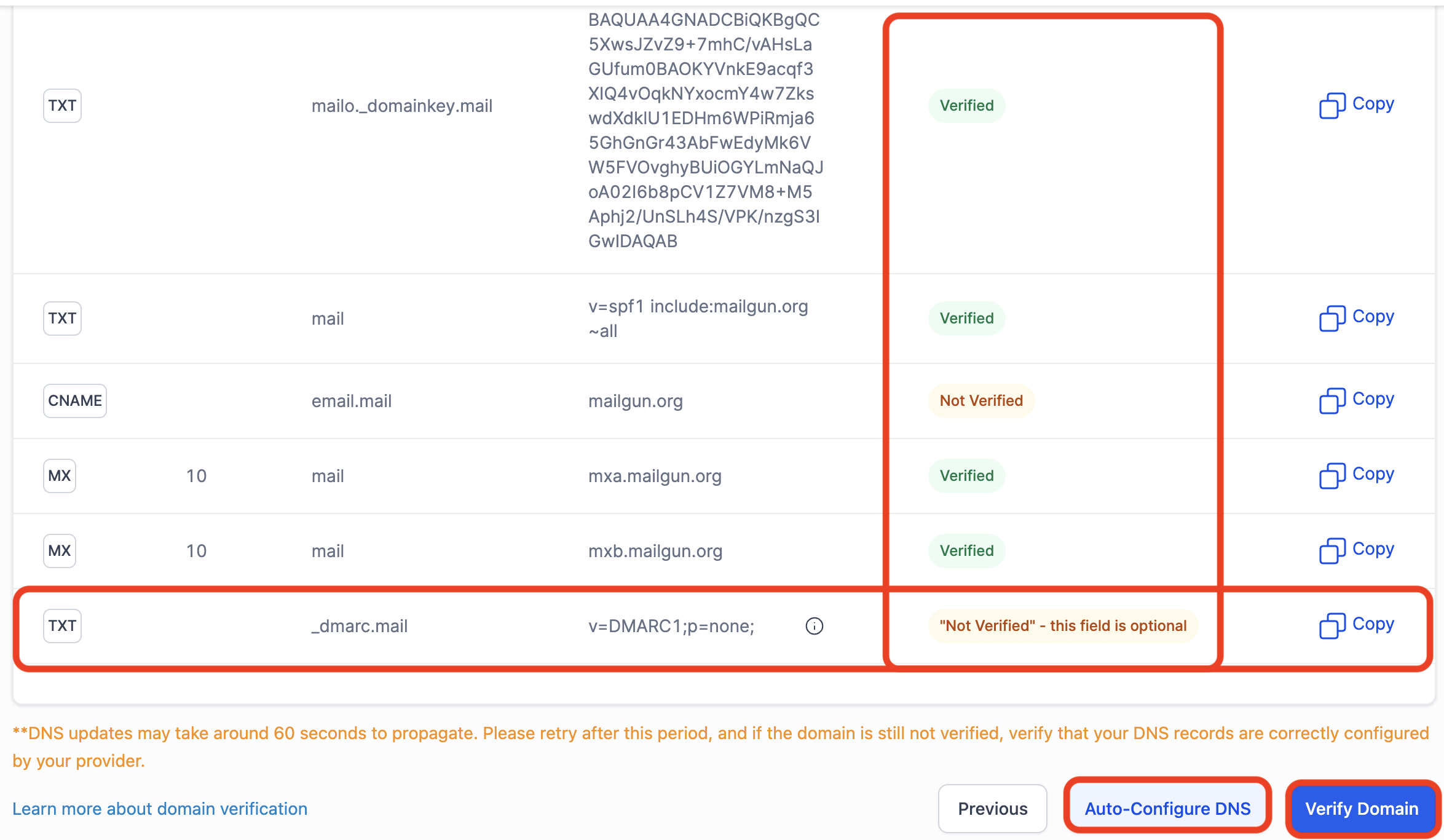 list of DNS records with verified status