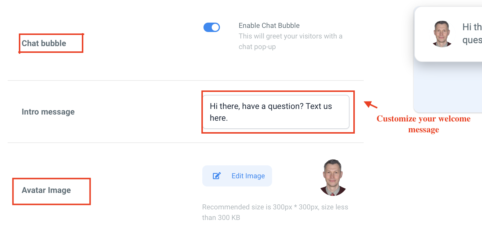 chat widget settings