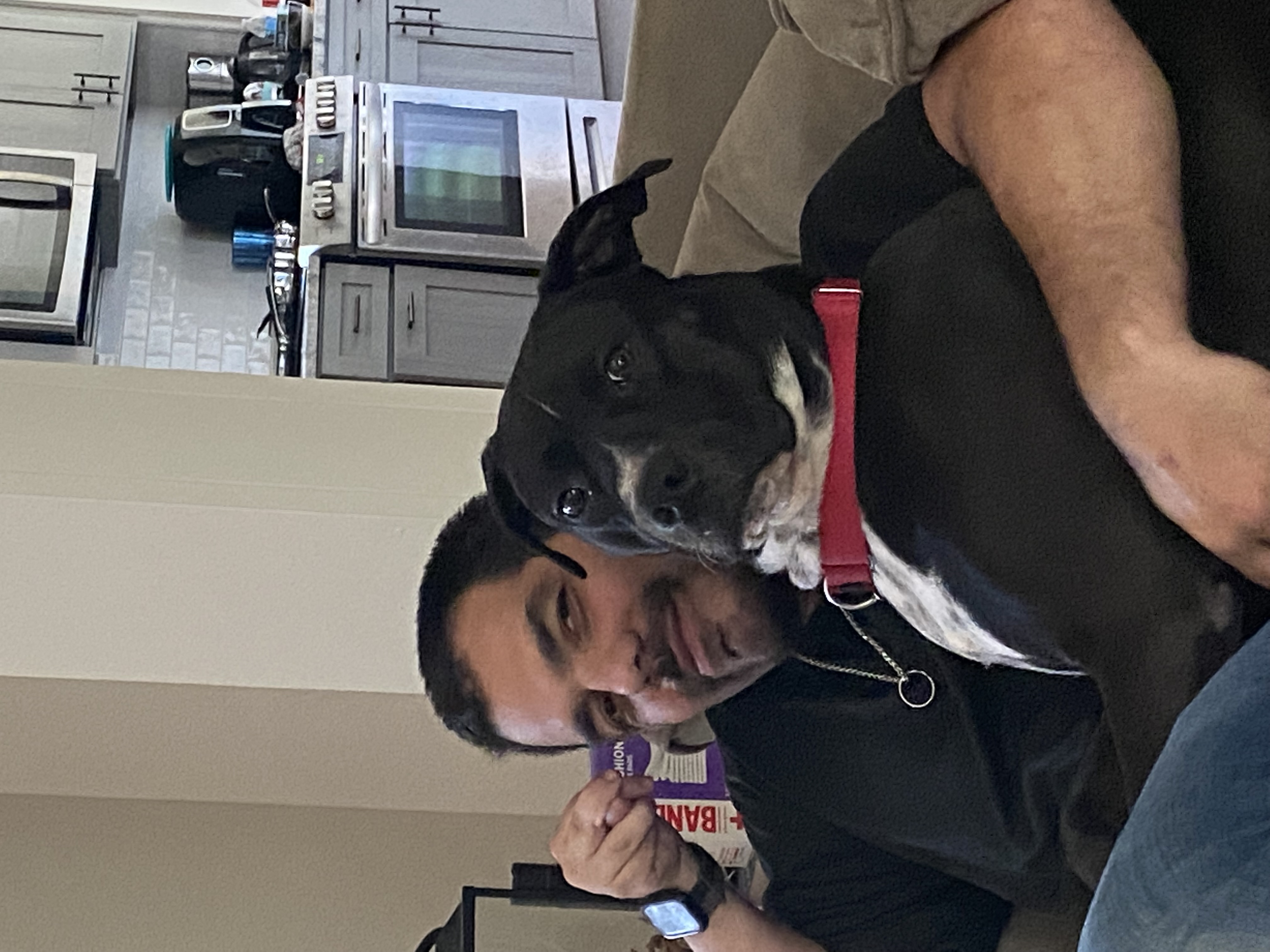 Meet the owner of Echo Dogs Training in Chester County, PA. With years of experience and a commitment to our furry friends, be sure to trust us for the best training around. 