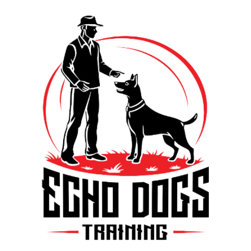 Dog Training in Chester County PA