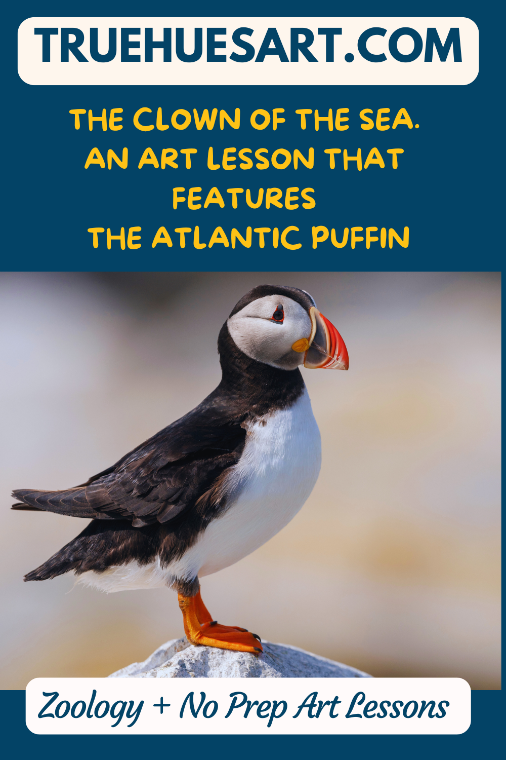 homeschool art lesson, prancing puffin clown of the sea homeschool art lesson, prancing puffin clown of the sea