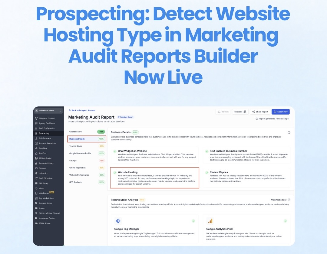 Prospecting: Detect Website Hosting Type in Marketing Audit Reports 