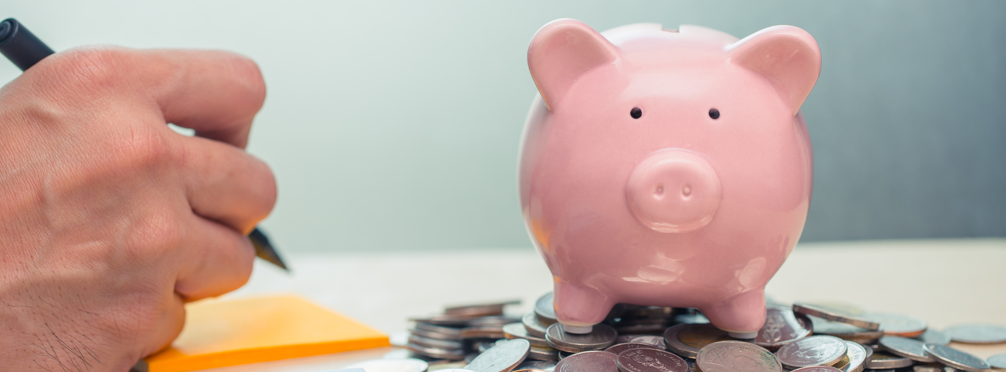 What hidden costs should you anticipate? What hidden costs should you anticipate?