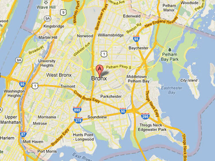 Bronx droppin on google maps