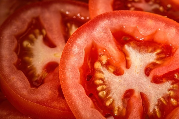 brain food - tomatoes