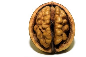 brain food - walnut
