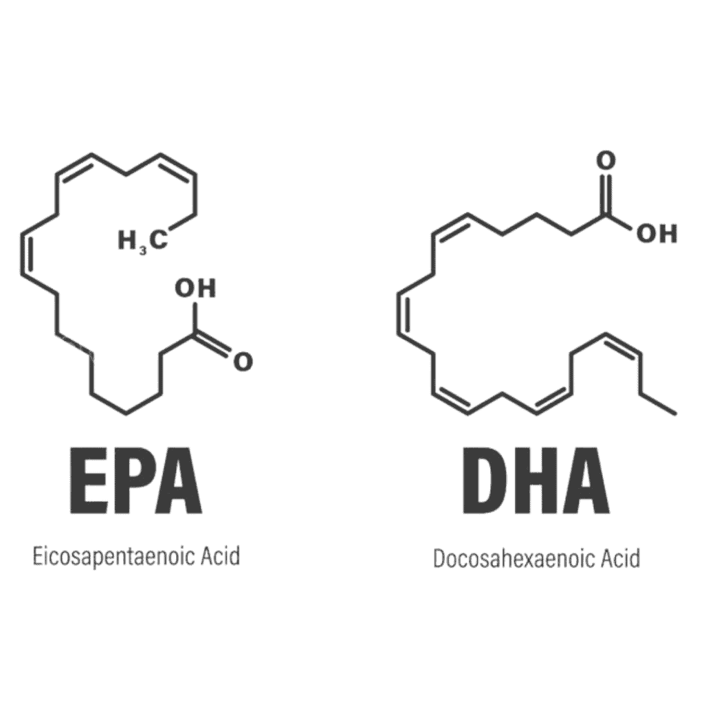 omega 3 vetzuren, dha, epa, vetten, vetzuren, afvallen omega 3 vetzuren, dha, epa, vetten, vetzuren, afvallen