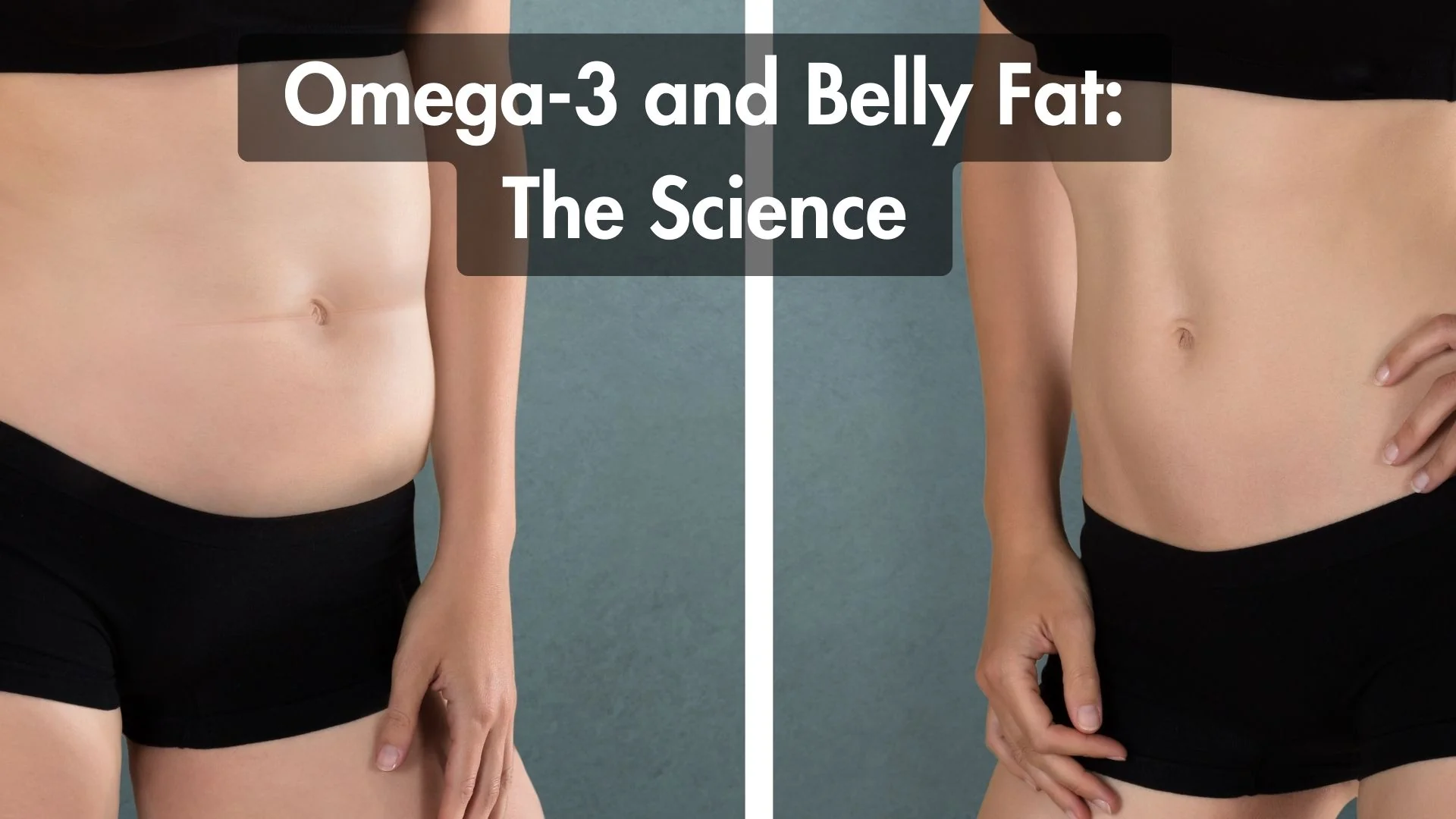 afvallen, omega 3 vetzuren, vetverbranding, afvallen, omega 3 vetzuren, vetverbranding,