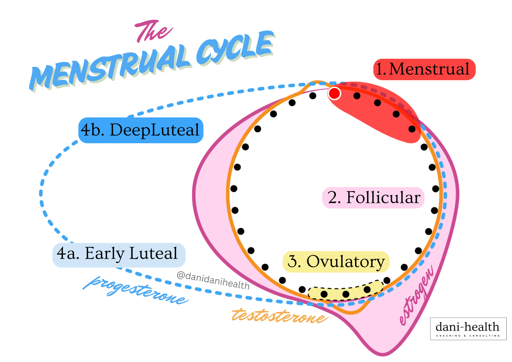 Dani-Health Menstrual Cycle Graph Dani-Health Menstrual Cycle Graph