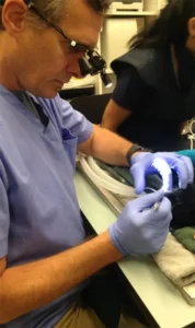 Dr. Alberto Schlicht