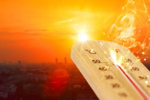 How to Reduce Energy Usage During a Heat Wave