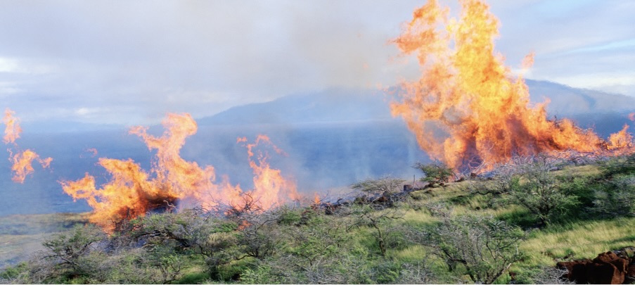 Fire on a ridge that resembles a Phoenix rising