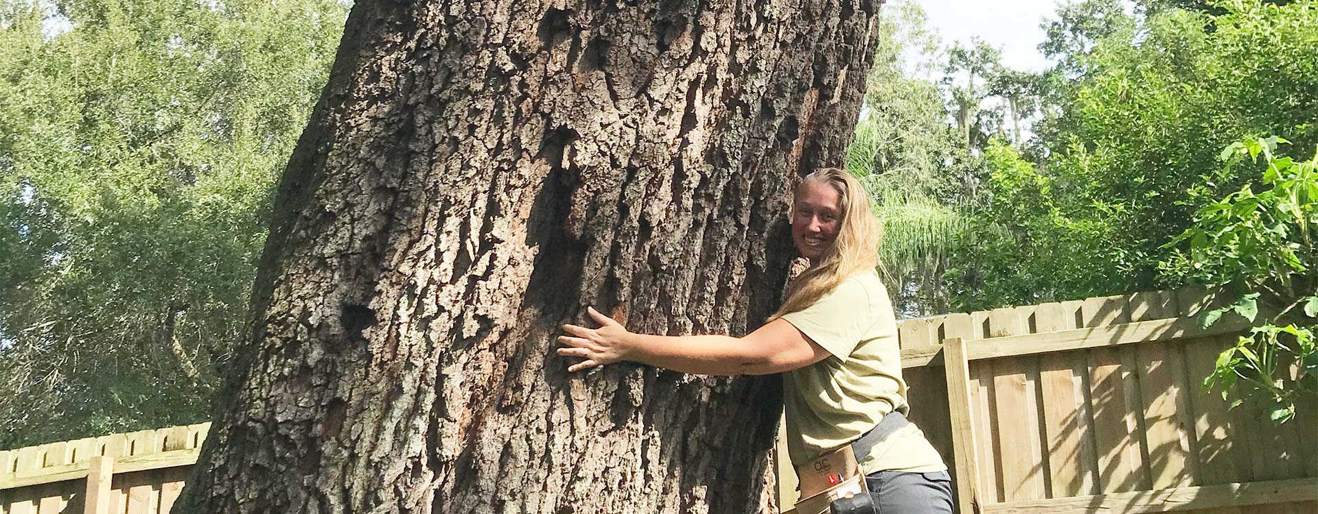 HIRING AN ARBORIST