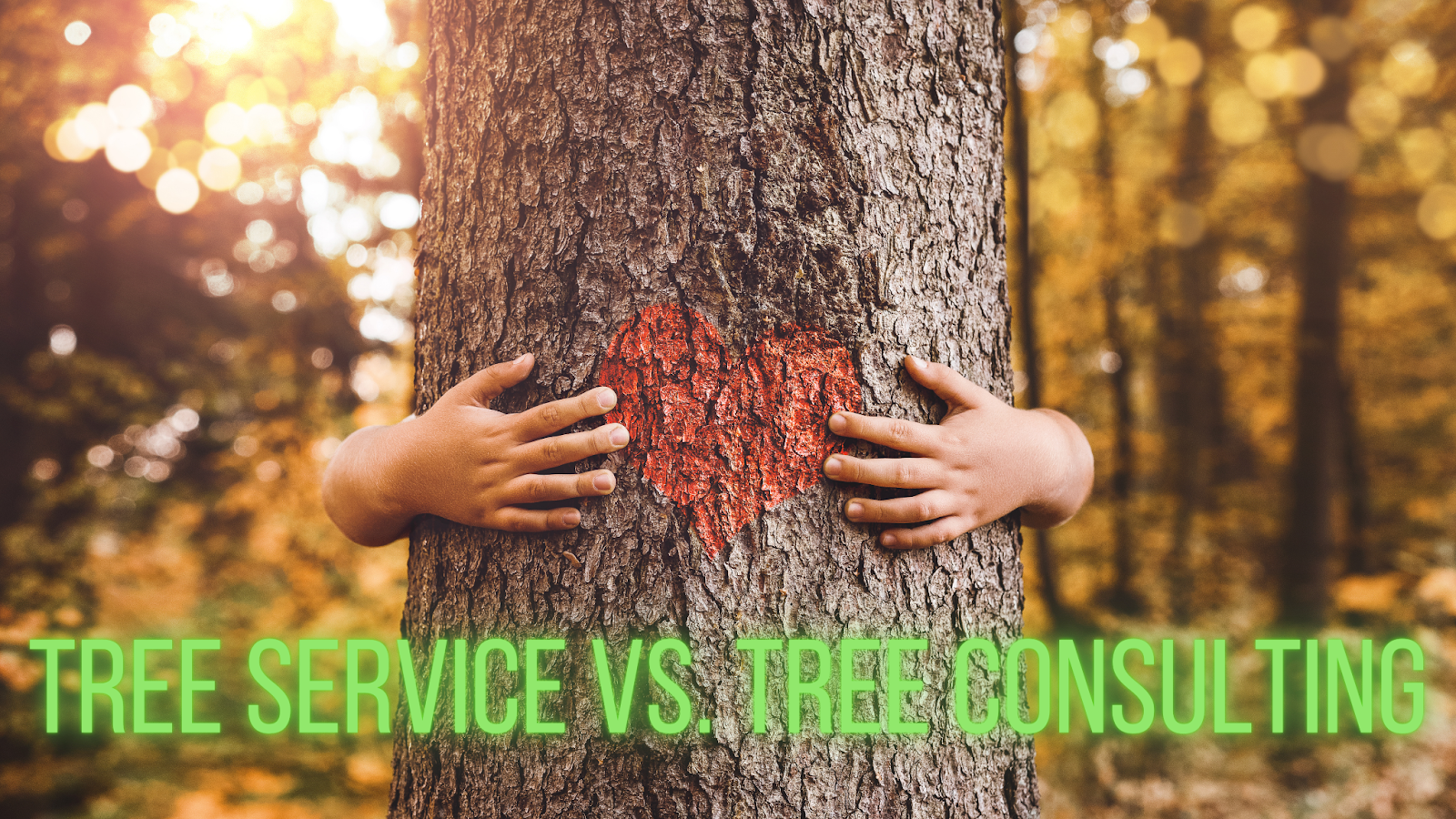 TREE SERVICE VS. TREE CONSULTING