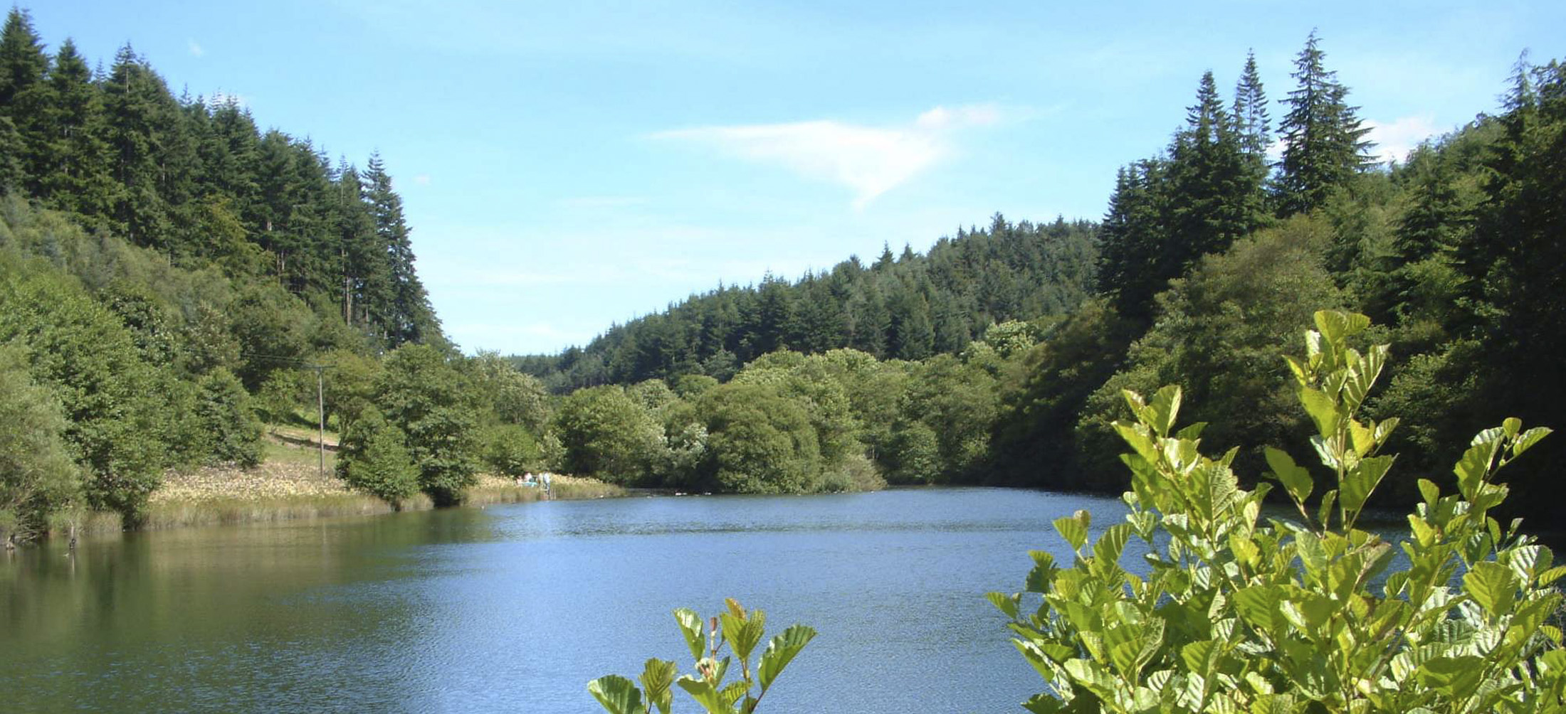 Dalby Forest