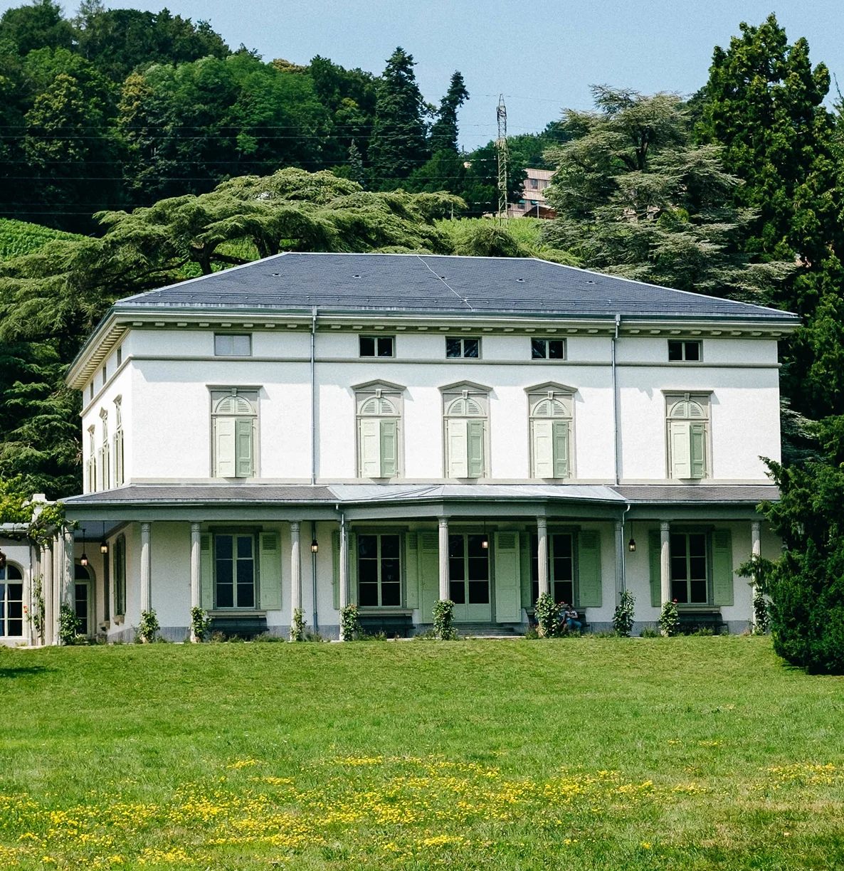 Albert Flores business logo