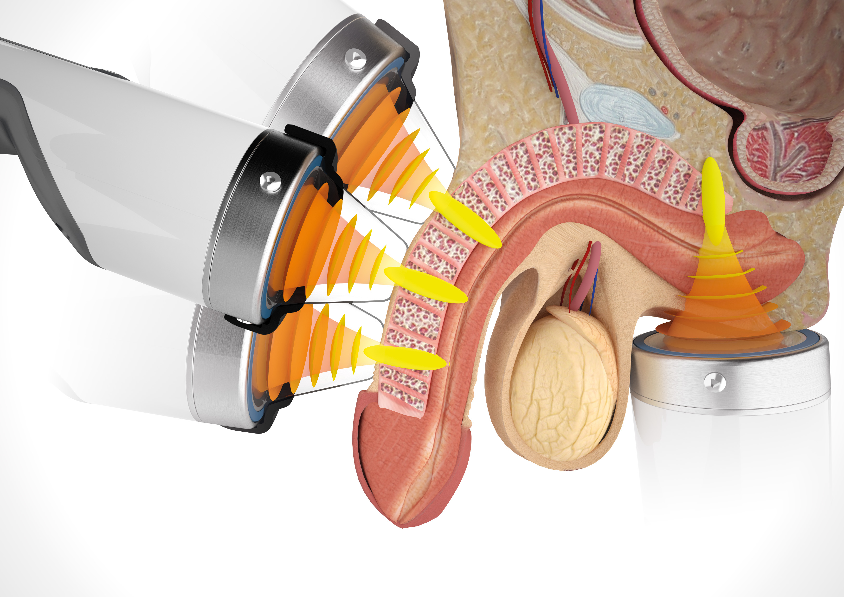 67f4c38ccafd9f89a6fa3137